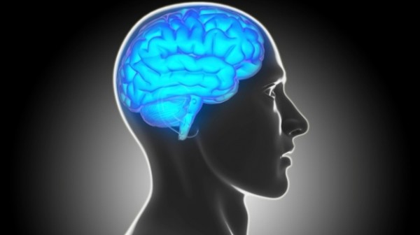 ▲ 충분한 쾌적 수면은 멜라토닌이라는 호르몬 분비를 촉진해 면역력을 강화시키며 수면 시 분비되는 멜라토닌은 뇌가 녹스는 것을 방지한다.