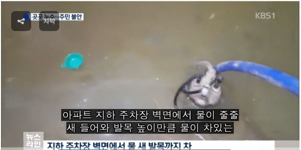 KBS 뉴스라인 방송화면 탭처.