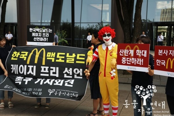 (사진출처=동물자유연대).